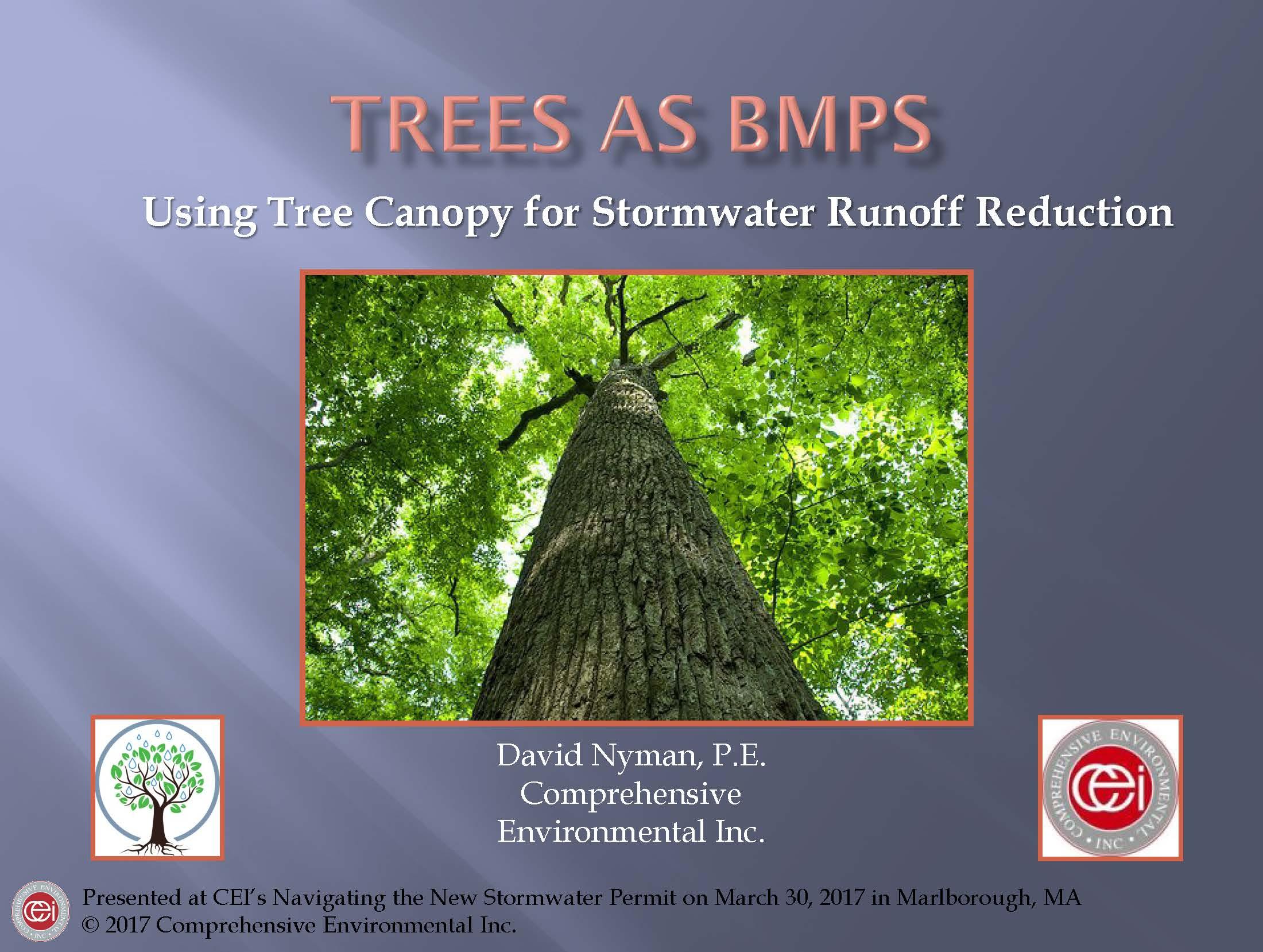 Tree Canopy Powerpoint Presentation