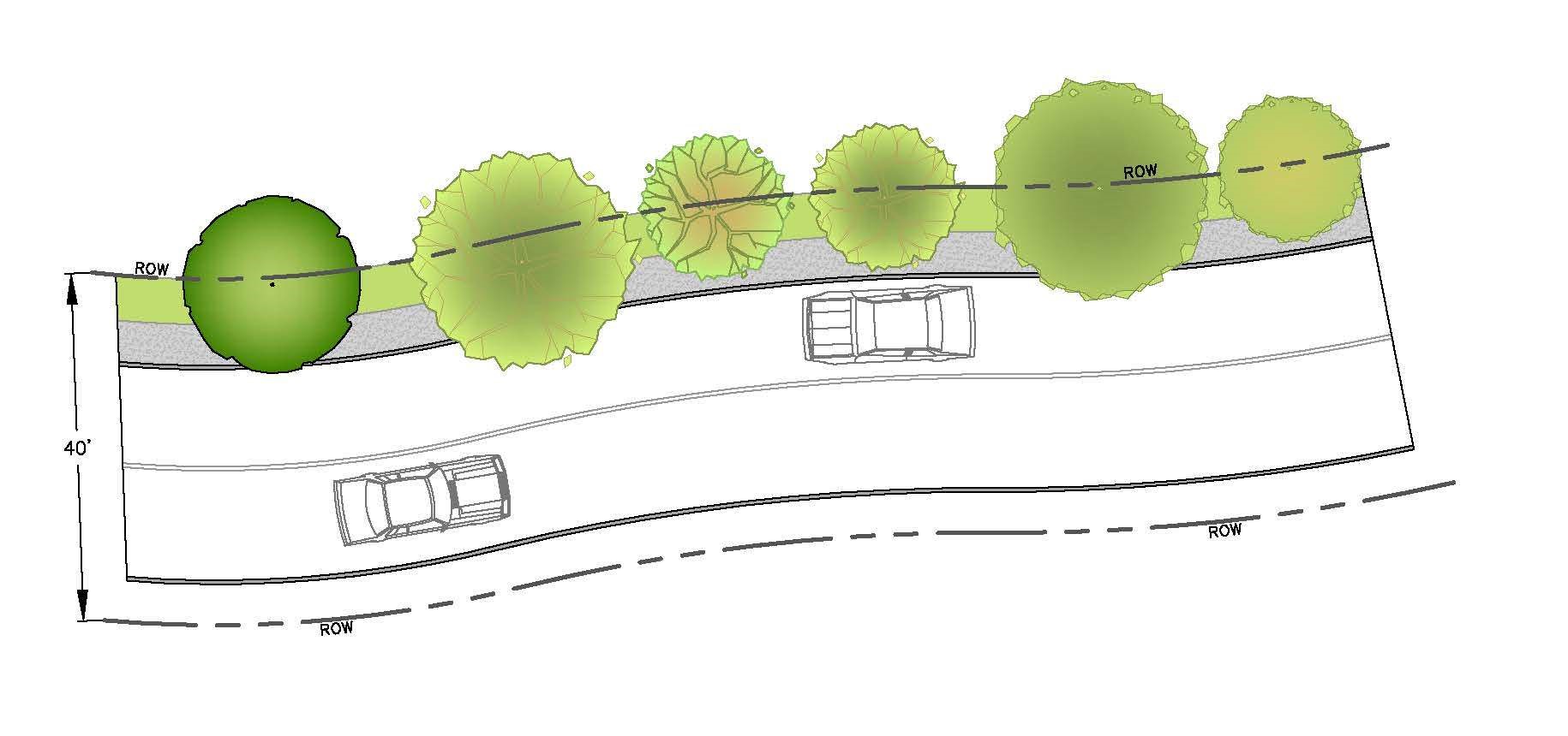 Large Trees on One Side of Road - Typical Plan