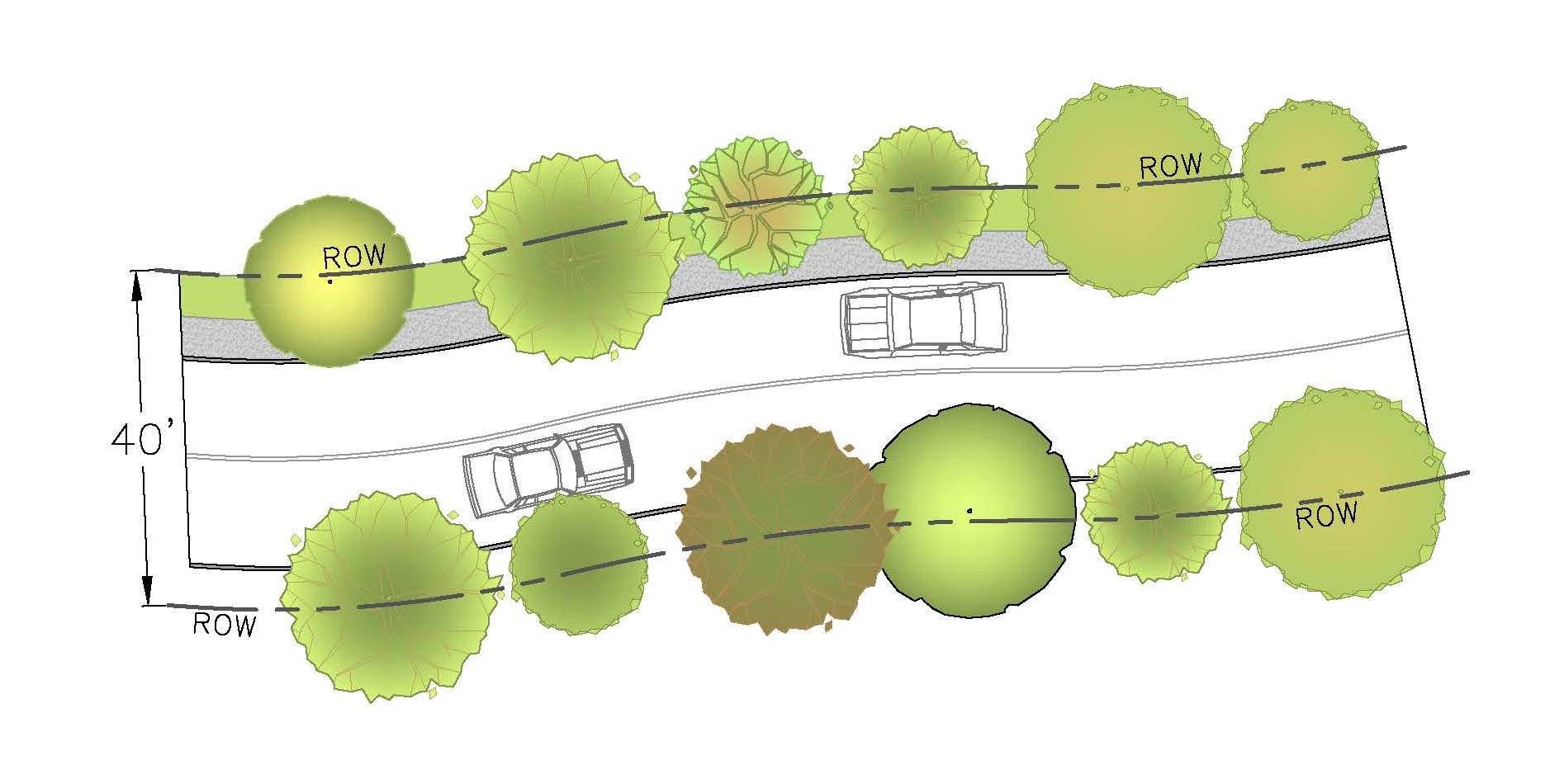 Large Trees on Both Sides of Road - Typical Plan